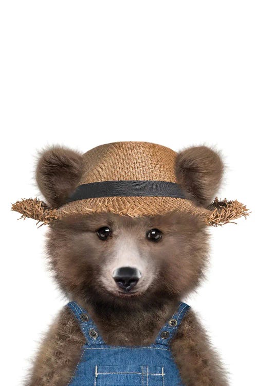 Farmer Bear