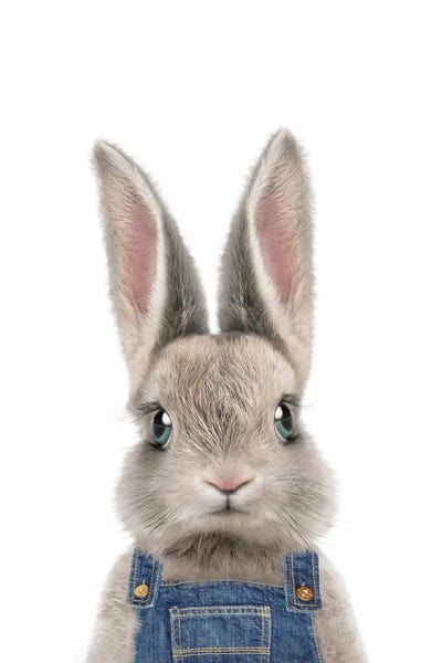 Rabbits: Farmer Rabbit by Tiny Treasure Prints