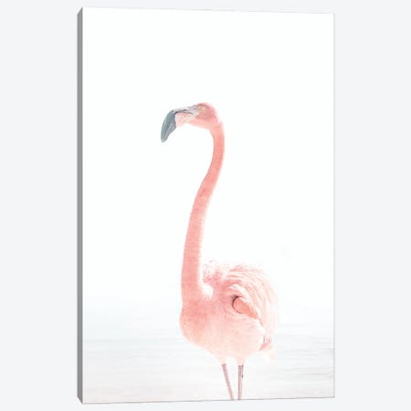 Flamingo Canvas Print #TTP76} by Tiny Treasure Prints Canvas Print