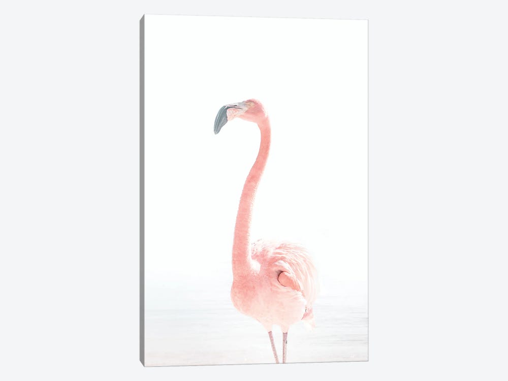 Flamingo by Tiny Treasure Prints 1-piece Canvas Wall Art