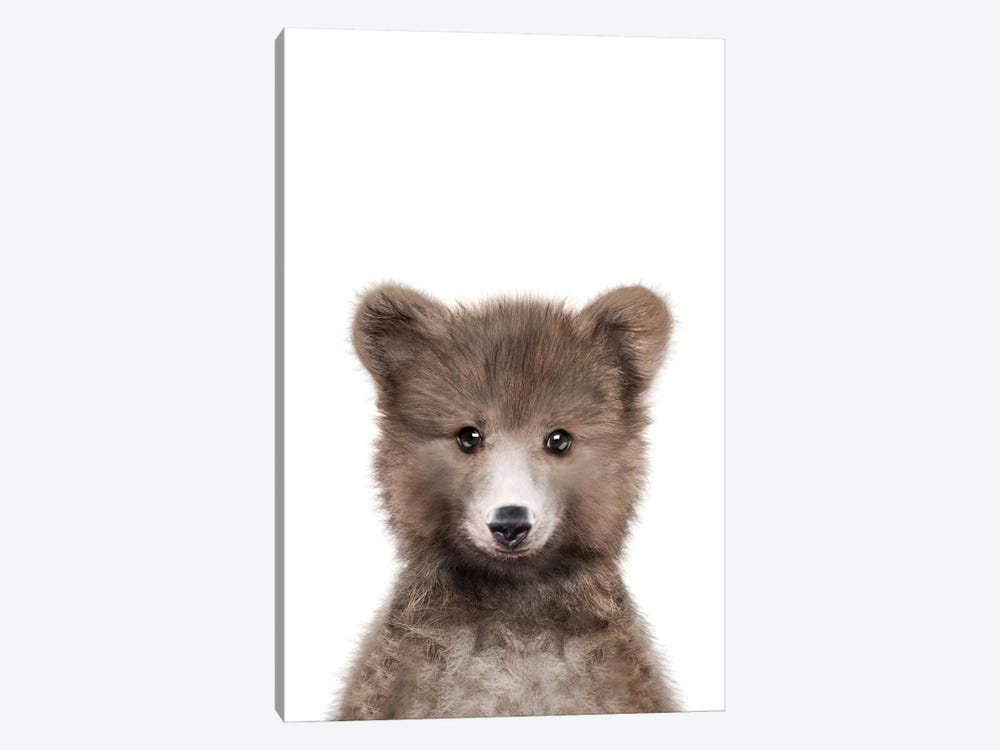 Bear Cub by Tiny Treasure Prints 1-piece Art Print