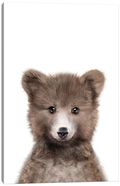 Bear Cub Canvas Art Print - Tiny Treasure Prints