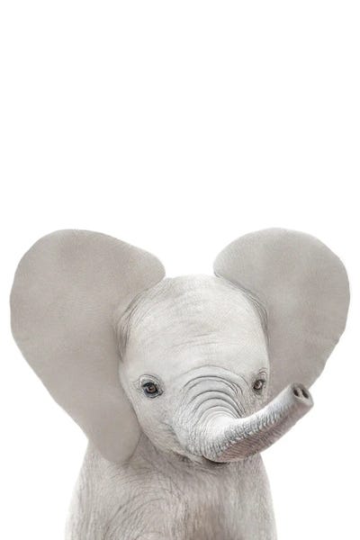 Baby Elephant by Tiny Treasure Prints art print