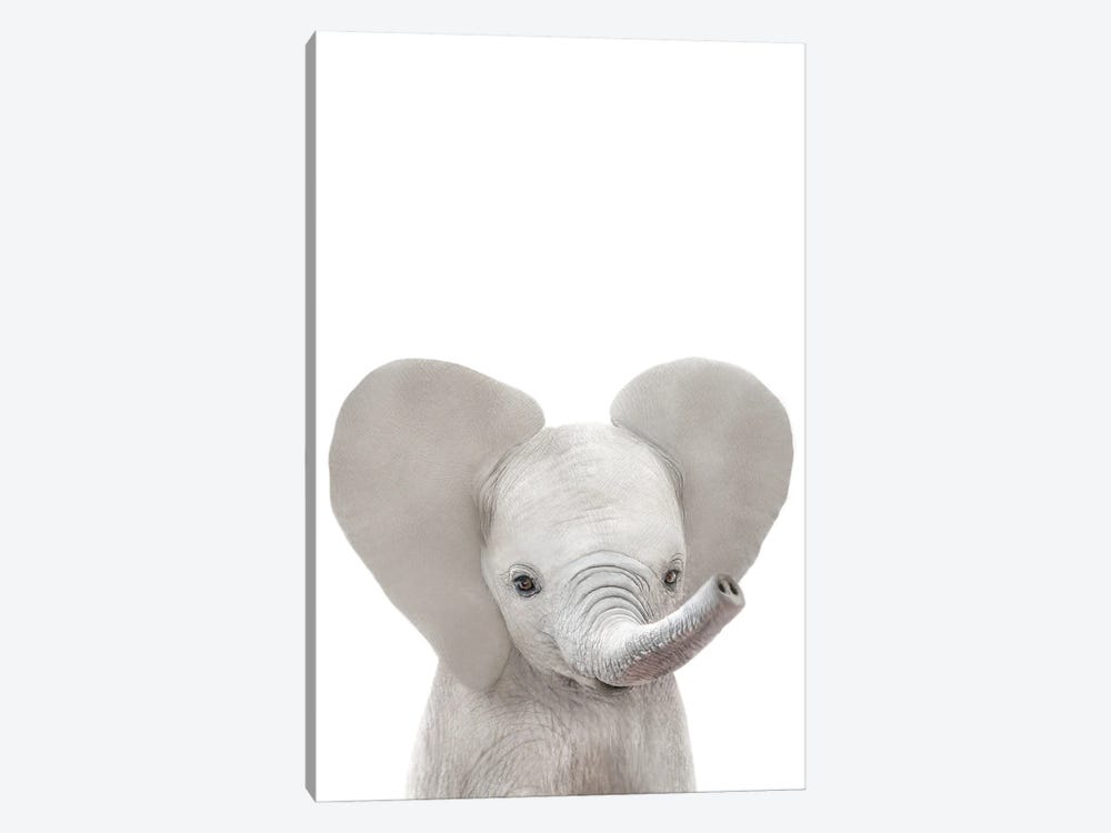 Baby Elephant by Tiny Treasure Prints 1-piece Canvas Art Print