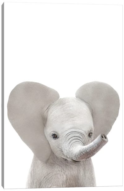 Baby Elephant Canvas Art Print - Tiny Treasure Prints
