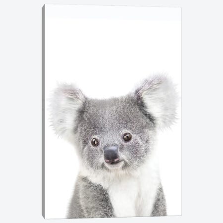 Baby Koala II Canvas Print #TTP80} by Tiny Treasure Prints Canvas Print