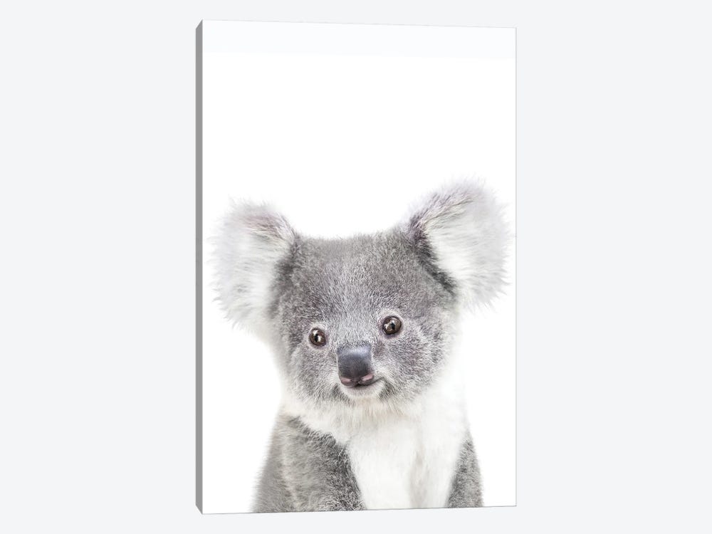 Baby Koala II by Tiny Treasure Prints 1-piece Canvas Art Print