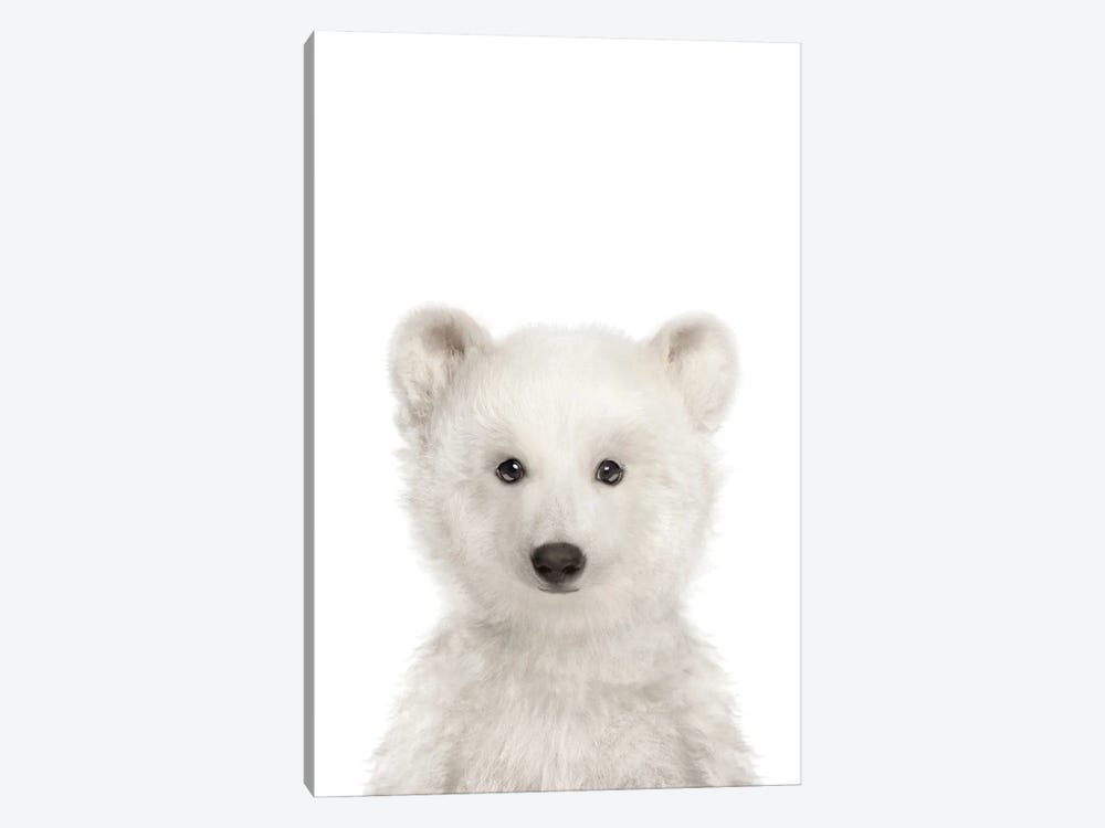 Polar Bear by Tiny Treasure Prints 1-piece Canvas Art Print