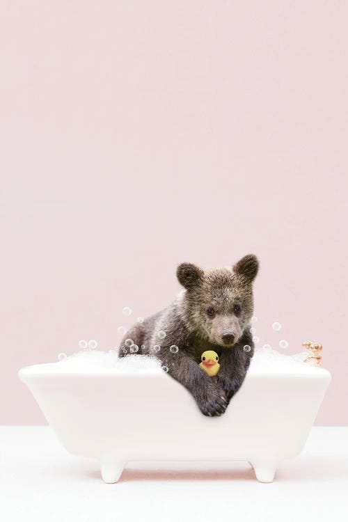 Bear Cub In Bathtub