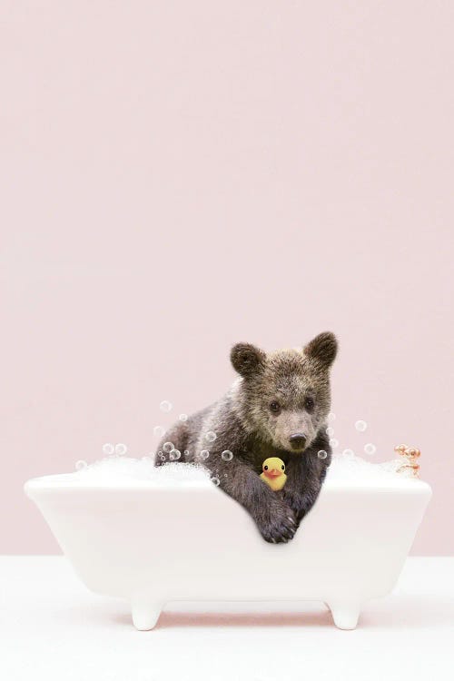 Bear Cub In Bathtub
