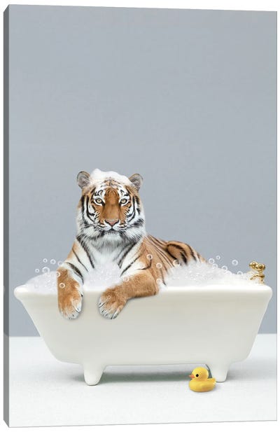 Tiger In A Bathtub Canvas Art Print - Kids Bathroom Art