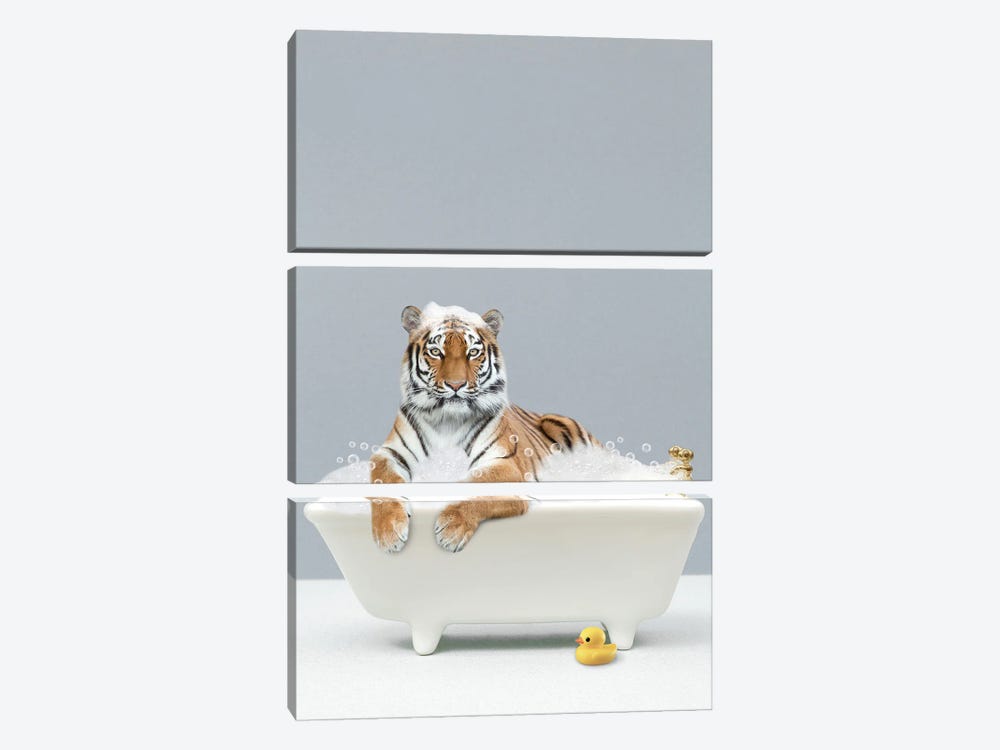Tiger In A Bathtub by Tiny Treasure Prints 3-piece Canvas Print