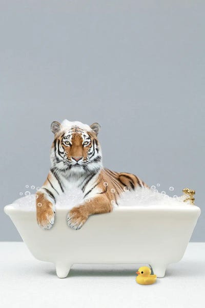 Bathroom Break: Tiger In A Bathtub by Tiny Treasure Prints