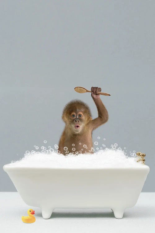 Monkey In A Bathtub