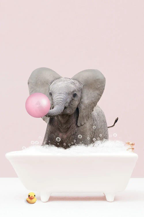 Baby Elephant With Bubblegum In Bathtub