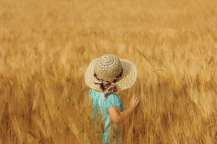 Summertime by Olga Fomina wall art
