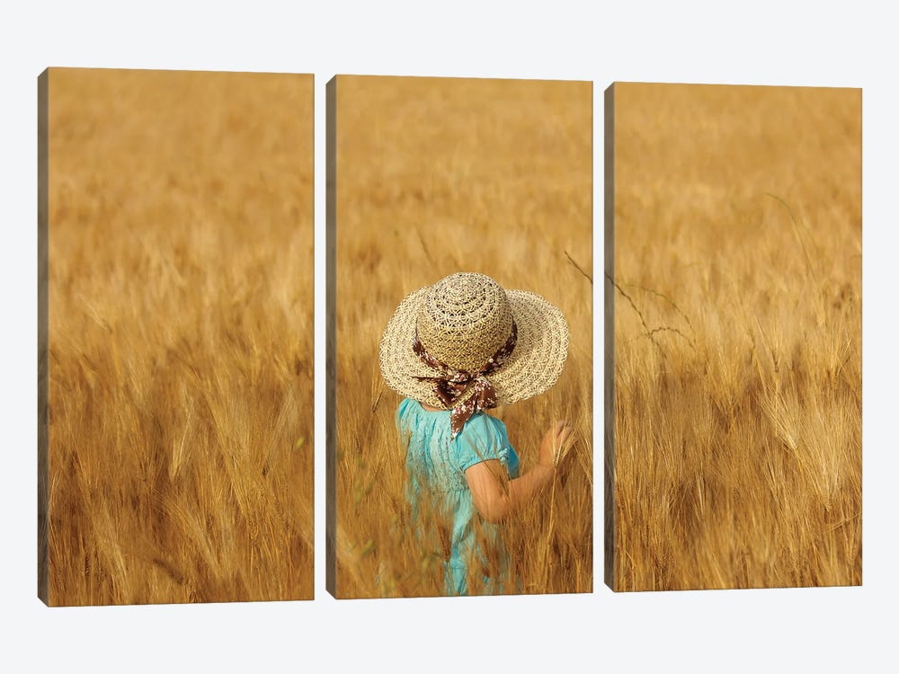 Summertime by Olga Fomina 3-piece Canvas Art