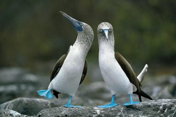 Ecuador