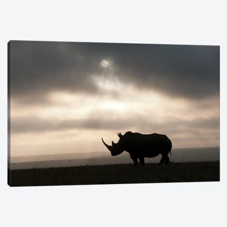 White Rhinoceros At Sunset, Solio Game Reserve, Kenya Canvas Print #TUI63} by Tui De Roy Art Print