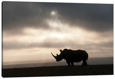 White Rhinoceros At Sunset, Solio Game Reserve, Kenya Canvas Art Print - Tui De Roy