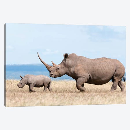 White Rhinoceros Mother And Calf, Solio Ranch, Kenya Canvas Print #TUI64} by Tui De Roy Canvas Wall Art