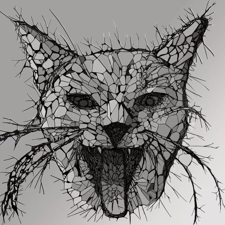 Broken by Tummeow wall art