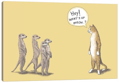 Cat And Meerkats Canvas Art Print - Tummeow