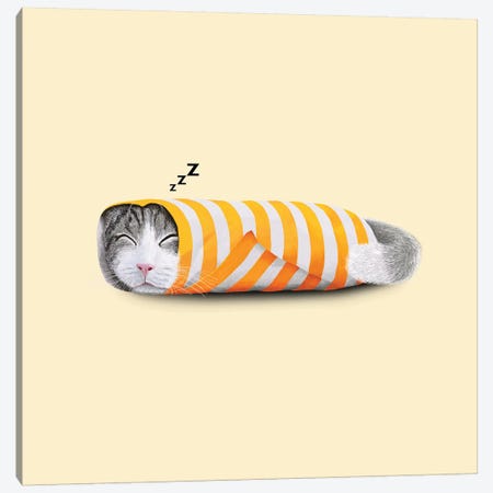 Cat In The Paper Canvas Print #TUM14} by Tummeow Art Print