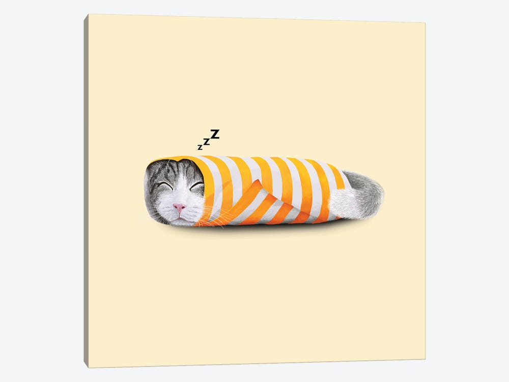 Cat In The Paper by Tummeow 1-piece Canvas Wall Art