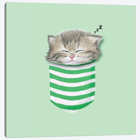 Cat In The Pocket Canvas Print #TUM15} by Tummeow Canvas Art Print