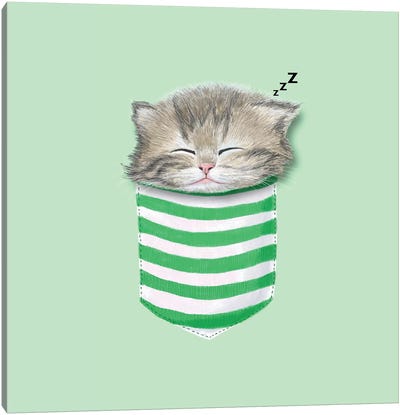 Cat In The Pocket Canvas Art Print - Tummeow