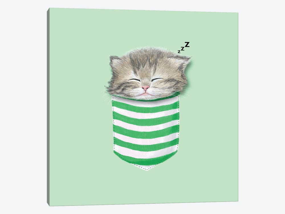 Cat In The Pocket by Tummeow 1-piece Canvas Print