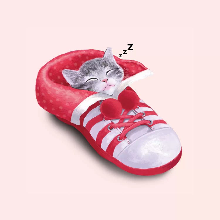 Cat In The Shoe