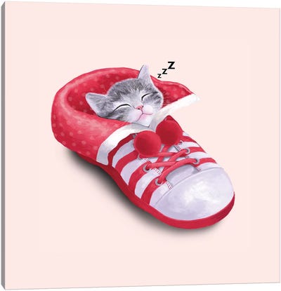 Cat In The Shoe Canvas Art Print - Tummeow