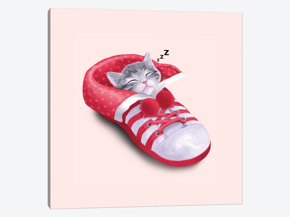 Cat In The Shoe by Tummeow 1-piece Canvas Art