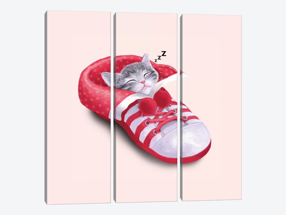 Cat In The Shoe by Tummeow 3-piece Canvas Art