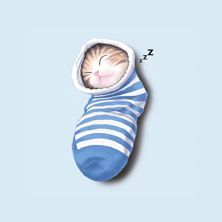 Cat In The Sock