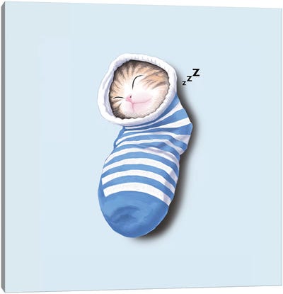 Cat In The Sock Canvas Art Print - Tummeow