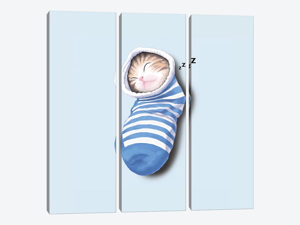 Cat In The Sock by Tummeow 3-piece Art Print