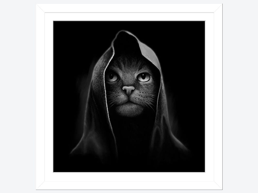 Cool Cat Canvas Art Print by Tummeow