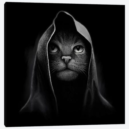 Cat Portrait Canvas Print #TUM19} by Tummeow Canvas Art