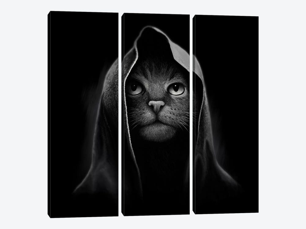 Cat Portrait by Tummeow 3-piece Canvas Print