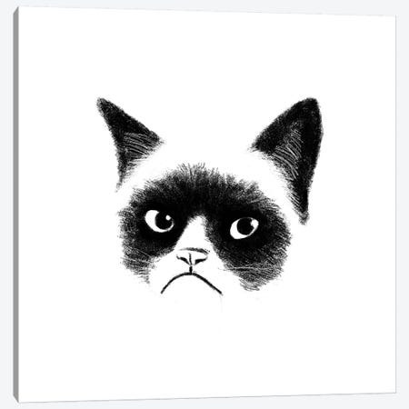 Angry Cat Canvas Print #TUM1} by Tummeow Canvas Art Print
