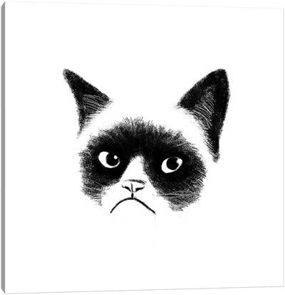 Angry Cat Canvas Art Print - Tummeow
