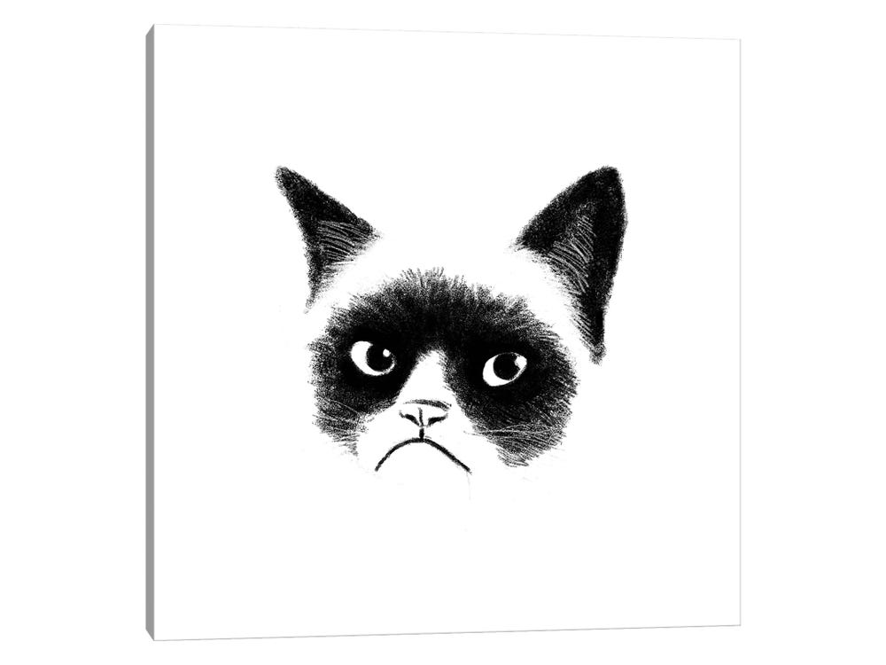 Angry Cat Art Print by Tummeow
