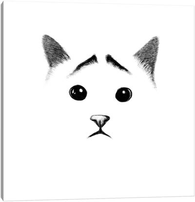Cat With Eyebrows Canvas Art Print - Tummeow