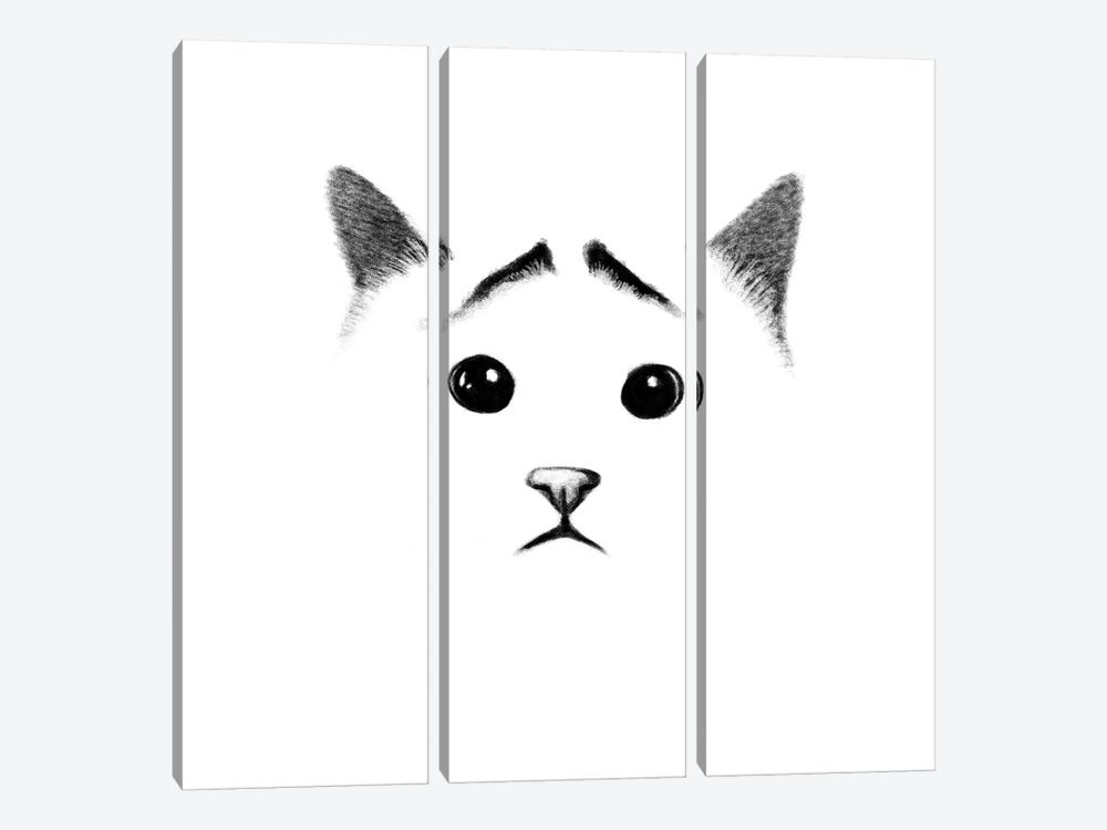 Cat With Eyebrows by Tummeow 3-piece Canvas Art Print