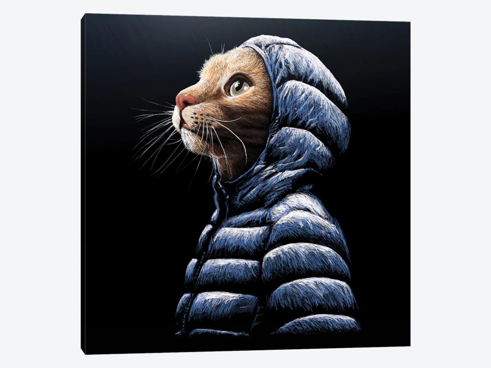 Cool Cat Canvas by Tummeow iCanvas