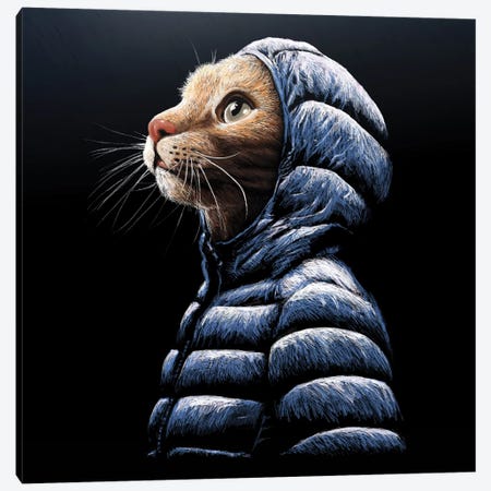 Cool Cat Canvas Print #TUM27} by Tummeow Canvas Art