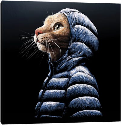 Cool Cat Canvas Art Print - Tummeow